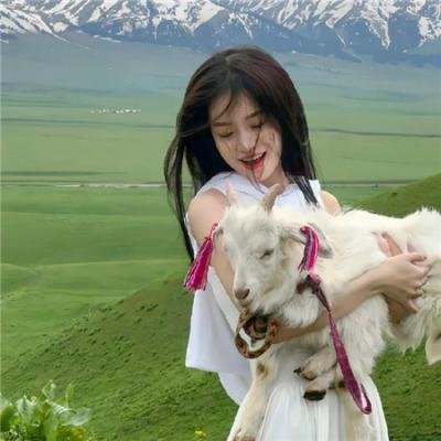 狗一样可爱的老板